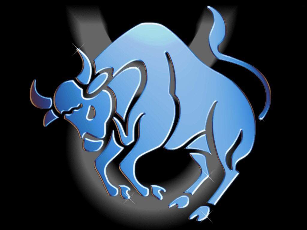 Tauro Tauro